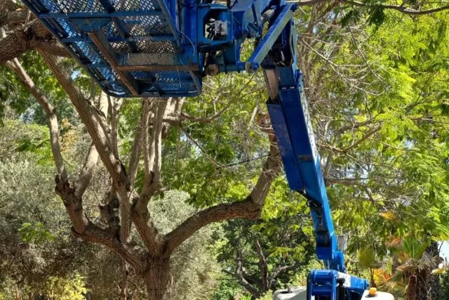 במת זרוע מפרקית Genie Z-51